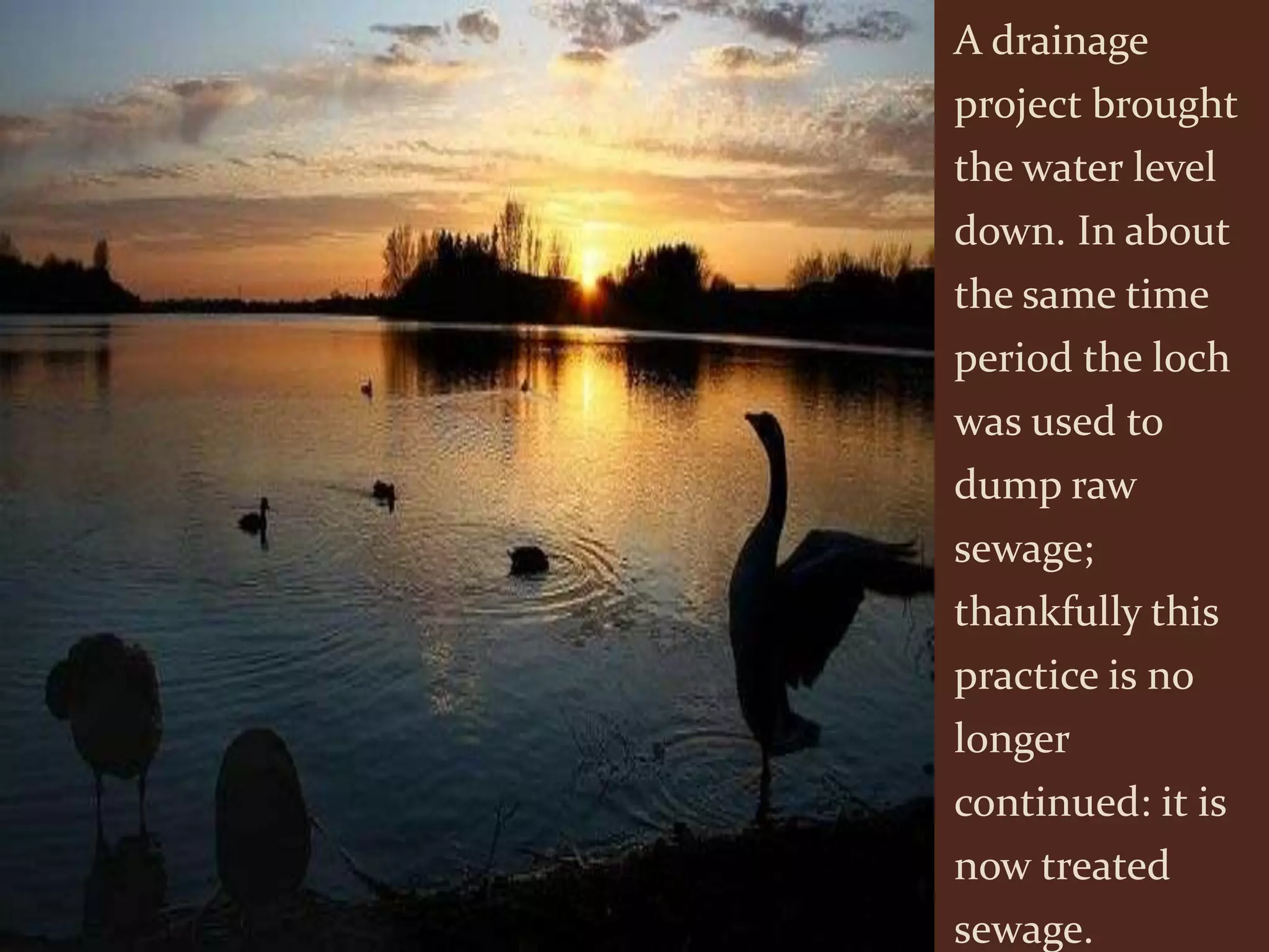 A drainage
project brought
the water level
down. In about
the same time
period the loch
was used to
dump raw
sewage;
thankfully this
practice is no
longer
continued: it is
now treated
sewage.
 
