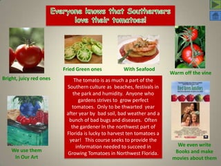 Everyone knows that Southerners  love their tomatoes! Fried Green ones With Seafood Warm off the vine  Bright, juicy red ones The tomato is as much a part of the Southern culture as  beaches, festivals in the park and humidity.  Anyone who gardens strives to  grow perfect  tomatoes.  Only to be thwarted  year after year by  bad soil, bad weather and a bunch of bad bugs and diseases.  Often the gardener In the northwest part of Florida is lucky to harvest ten tomatoes a year!   This course seeks to provide the information needed to succeed in Growing Tomatoes in Northwest Florida.  We even write  Books and make movies about them We use them In Our Art 