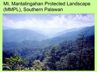 Mt. Mantalingahan Protected Landscape
(MMPL), Southern Palawan
 