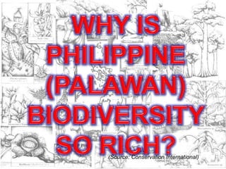 (Source: Conservation International)
 