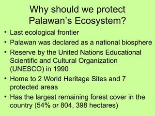 Why should we protect
Palawan’s Ecosystem?
• Last ecological frontier
• Palawan was declared as a national biosphere
• Reserve by the United Nations Educational
Scientific and Cultural Organization
(UNESCO) in 1990
• Home to 2 World Heritage Sites and 7
protected areas
• Has the largest remaining forest cover in the
country (54% or 804, 398 hectares)
 