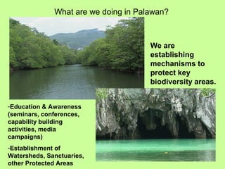 What are we doing in Palawan?
We are
establishing
mechanisms to
protect key
biodiversity areas.
-Education & Awareness
(seminars, conferences,
capability building
activities, media
campaigns)
-Establishment of
Watersheds, Sanctuaries,
other Protected Areas
 