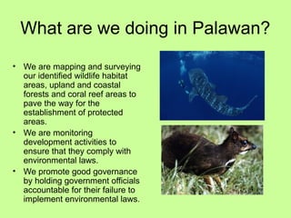 What are we doing in Palawan?
• We are mapping and surveying
our identified wildlife habitat
areas, upland and coastal
forests and coral reef areas to
pave the way for the
establishment of protected
areas.
• We are monitoring
development activities to
ensure that they comply with
environmental laws.
• We promote good governance
by holding government officials
accountable for their failure to
implement environmental laws.
 