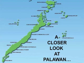 A
CLOSER
LOOK
AT
PALAWAN…
 