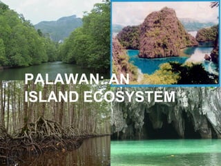 PALAWAN: AN
ISLAND ECOSYSTEM
 