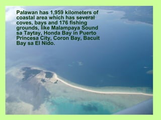 Palawan has 1,959 kilometers of
coastal area which has several
coves, bays and 176 fishing
grounds, like Malampaya Sound
sa Taytay, Honda Bay in Puerto
Princesa City, Coron Bay, Bacuit
Bay sa El Nido.
 