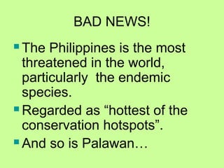 BAD NEWS!
 The Philippines is the most
threatened in the world,
particularly the endemic
species.
 Regarded as “hottest of the
conservation hotspots”.
 And so is Palawan…
 