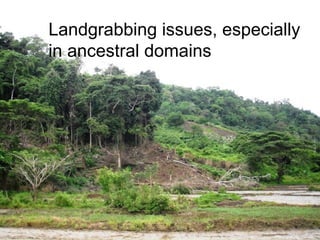 Landgrabbing issues, especially
in ancestral domains
 
