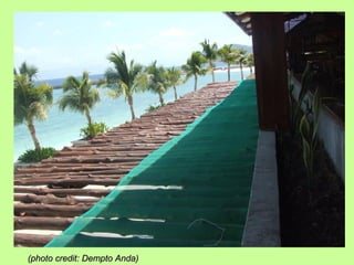 (photo credit: Dempto Anda)(photo credit: Dempto Anda)
 