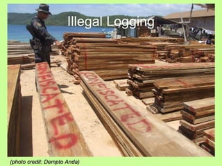 Illegal Logging
(photo credit: Dempto Anda)(photo credit: Dempto Anda)
 