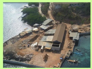 (photo credit: Dempto Anda)(photo credit: Dempto Anda)
 