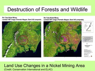 Destruction of Forests and Wildlife
Land Use Changes in a Nickel Mining Area
(Credit: Conservation International and ELAC)
 