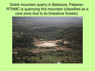 Gotok mountain quarry in Bataraza, Palawan.
RTNMC is quarrying this mountain (classified as a
core zone due to its limestone forests).
 