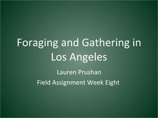 Foraging and Gathering in Los Angeles Lauren Prushan Field Assignment Week Eight  