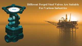 Different Forged Steel Valves Are Suitable
For Various Industries
 