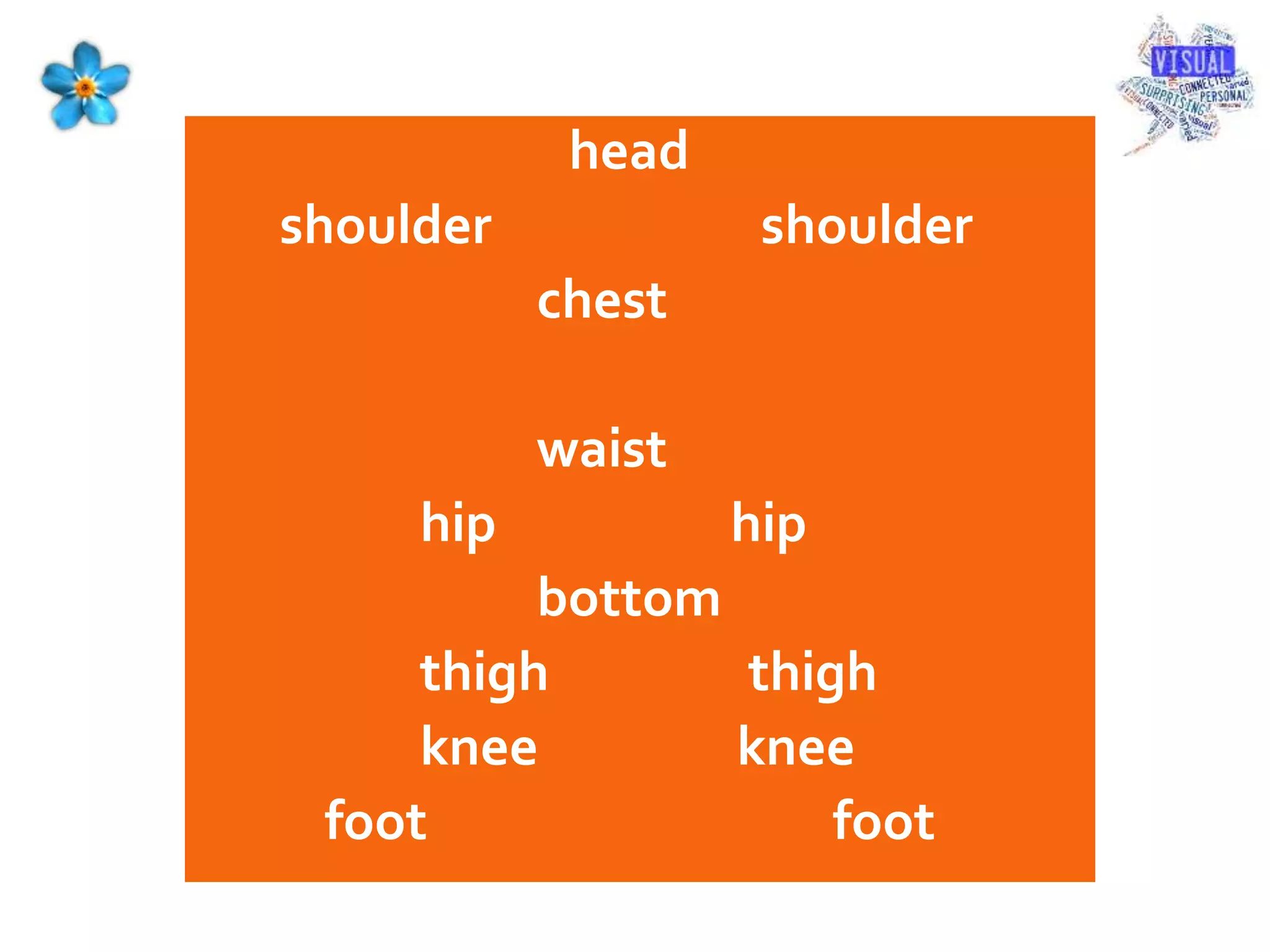 head
shoulder shoulder
chest
waist
hip hip
bottom
thigh thigh
knee knee
foot foot
 