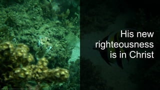 His new
righteousness
is in Christ
 