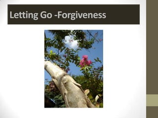 Letting Go -Forgiveness
 