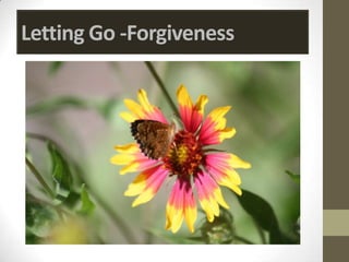 Letting Go -Forgiveness
 