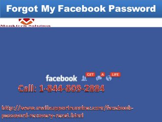 Forgot My Facebook Password
 