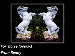 For  horse lovers-1 From Renny 