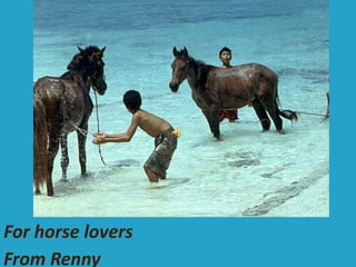 For horse lovers From Renny 