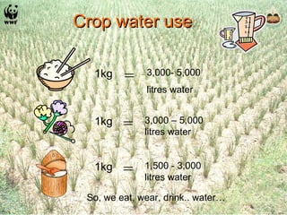 Crop water use So, we eat, wear, drink.. water…  = 1kg 1,500 - 3,000  litres water = 1kg 3,000- 5,000 litres water = 1kg 3,000 – 5,000 litres water 