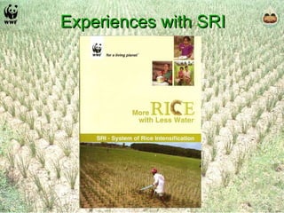 Experiences with SRI 