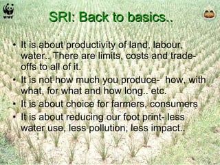 SRI: Back to basics.. It is about productivity of land, labour, water.. There are limits, costs and trade-offs to all of it. It is not how much you produce-  how, with what, for what and how long.. etc. It is about choice for farmers, consumers It is about reducing our foot print- less water use, less pollution, less impact.. 