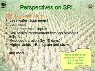 Perspectives on SRI.. SRI: Less with More.. 1. Less water requirement  2. Less seed  3. Lesser chemical inputs 4. Soil health improvement through biological activity  5. Reduced duration (by 10 days) 6. Higher yields – Both grain and straw  and more… SRI is neither a new  variety nor a hybrid…  it is  a method  of rice cultivation 