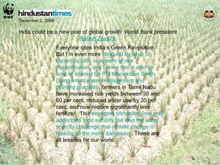 December 2, 2009 India could be a new pole of global growth: World Bank president Robert Zoellick Everyone cites India’s Green Revolution. But I’m even more  intrigued by what is known as SRI, or system of rice intensification, and I know this is also an area of interest for PM Manmohan Singh. Using smart water management and planting practices ,  farmers in Tamil Nadu have increased rice yields between 30 and 80 per cent, reduced water use by 30 per cent, and now require significantly less fertilizer.  This  emerging technology not only addresses food security but also the water scarcity challenge that climate change is making all the more dangerous . These are all lessons for our world. 
