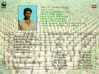 Name: Shri. Rikeshwar Prasad Age: 42 Years Education Qualification: B.A. Pass. Name of Village: Andarthi Name of District: Tehri Garhwal Name of State: Uttarakhand Number of family members: 4 Primary Occupation: Agriculture, Animal Husbandry  Number of years in farming: Since childhood S. No. Parameter Conventional Technique S.R.I Technique 1 Total number of Tillers 10 58 2 Average plant height (cm) 145 c.m. 174 c.m . 3 Productive Tillers 6 41 4 Average Panicle length (c.m.) 20 c.m. 24 c.m. 5 Average number of Grains/Panicle  130 254 6 Total Output Grain  30 kg/nali  (15.00 Q/ha) 62.5 kg/ nali  (31.25 Q/ha) 7 Total Output Straw  40.0 kg/nali (20.00 Q/ha) 88.5. kg/nali (44.25 Q/ha) 8 Total cost on cultivation (Rs.) Rs. 435/nali (Rs. 21,750/ha) Rs. 250/nali (Rs. 12,500/ha) 9 Net Profit earned - Rs. 2,750/ha Rs. 27,600/ ha 