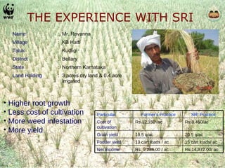 THE EXPERIENCE WITH SRI Higher root growth Less cost of cultivation More weed infestation More yield Name    :   Mr. Revanna  Village   :   KB Hatti  Taluk  :   Kudligi  District    :   Bellary  State  :   Northern Karnataka Land Holding   :   3 acres dry land & 0.4 acre    irrigated Particular Farmer’s Practice SRI Practice Cost of cultivation Rs.12,150 /ac Rs.8,450/ac Grain yield 19.5 q/ac 20.5 q/ac Fodder yield 13 cart loads / ac 15 cart loads/ ac Net Income Rs. 9,286.00 / ac Rs.14,872.00/ ac 