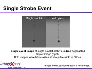 Single Strobe Event Single event image  of single droplet (left) vs.  4 drop  aggregated droplet image (right).  Both images were taken with a strobe pulse width of 500ns. Single droplet 4 droplets Images from Kodak print head, #10 cartridge. 