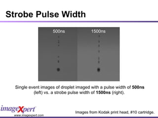 Strobe Pulse Width Single event images of droplet imaged with a pulse width of  500ns  (left) vs. a strobe pulse width of  1500ns  (right).  500ns 1500ns Images from Kodak print head, #10 cartridge. 