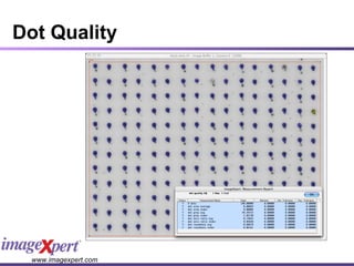 Dot Quality 