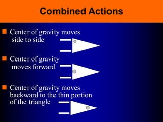 Combined Actions
 Center of gravity moves
side to side
 Center of gravity
moves forward
 Center of gravity moves
backward to the thin portion
of the triangle
 