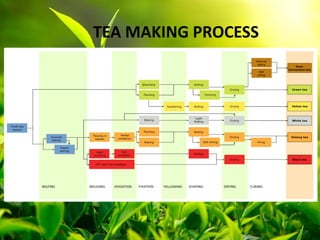 Basics of Tea | PPT