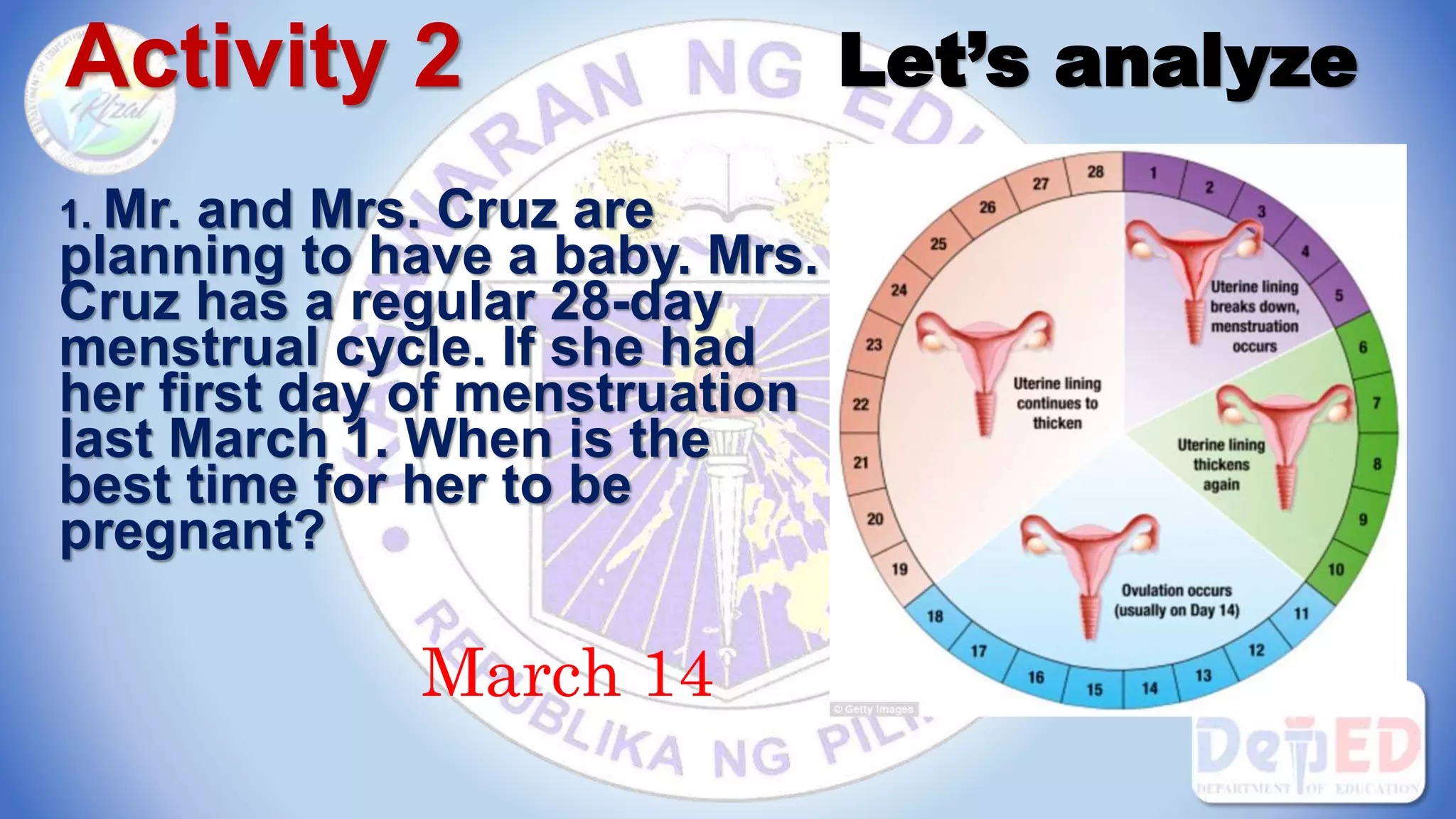 Activity 2 Let’s analyze
1. Mr. and Mrs. Cruz are
planning to have a baby. Mrs.
Cruz has a regular 28-day
menstrual cycle. If she had
her first day of menstruation
last March 1. When is the
best time for her to be
pregnant?
March 14
 