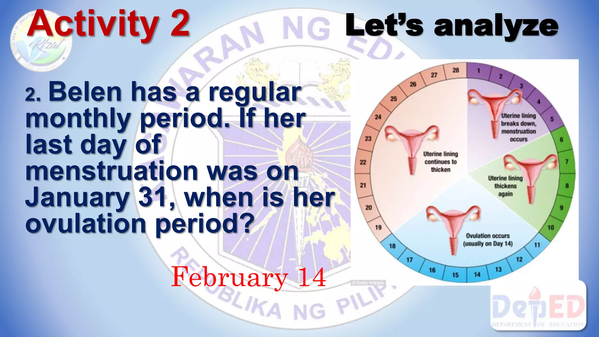 Activity 2 Let’s analyze
2. Belen has a regular
monthly period. If her
last day of
menstruation was on
January 31, when is her
ovulation period?
February 14
 