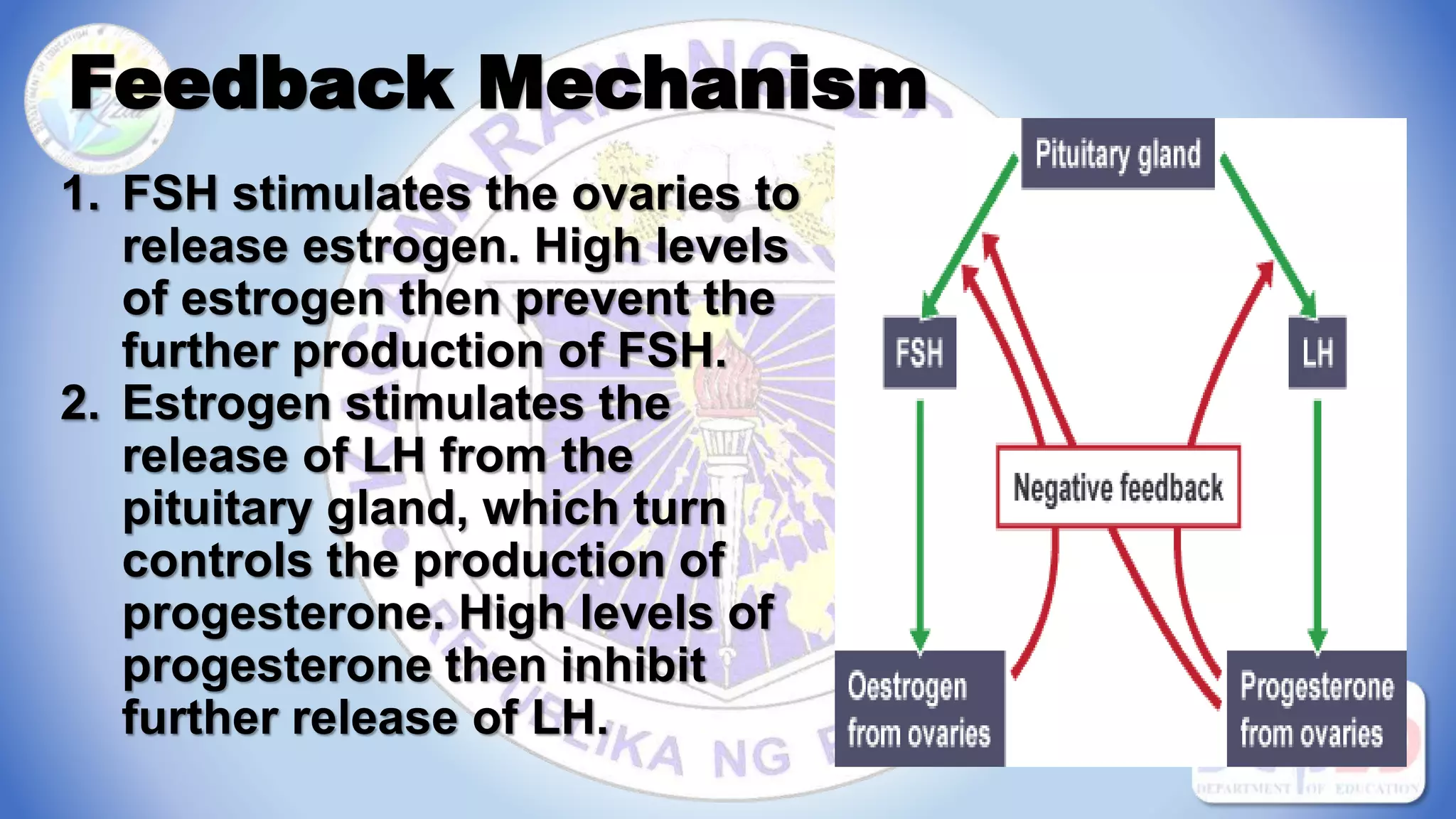 Feedback Mechanism
1. FSH stimulates the ovaries to
release estrogen. High levels
of estrogen then prevent the
further production of FSH.
2. Estrogen stimulates the
release of LH from the
pituitary gland, which turn
controls the production of
progesterone. High levels of
progesterone then inhibit
further release of LH.
 
