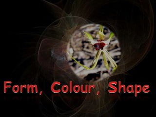 Form, colour, shape ,[object Object]