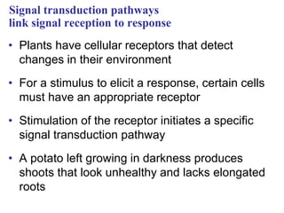 Signal transduction pathways
link signal reception to response
• Plants have cellular receptors that detect
changes in their environment
• For a stimulus to elicit a response, certain cells
must have an appropriate receptor
• Stimulation of the receptor initiates a specific
signal transduction pathway
• A potato left growing in darkness produces
shoots that look unhealthy and lacks elongated
roots
 