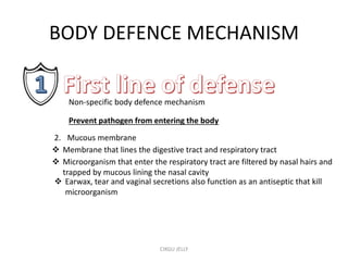 4.2 BODY DEFENSE | PPTX