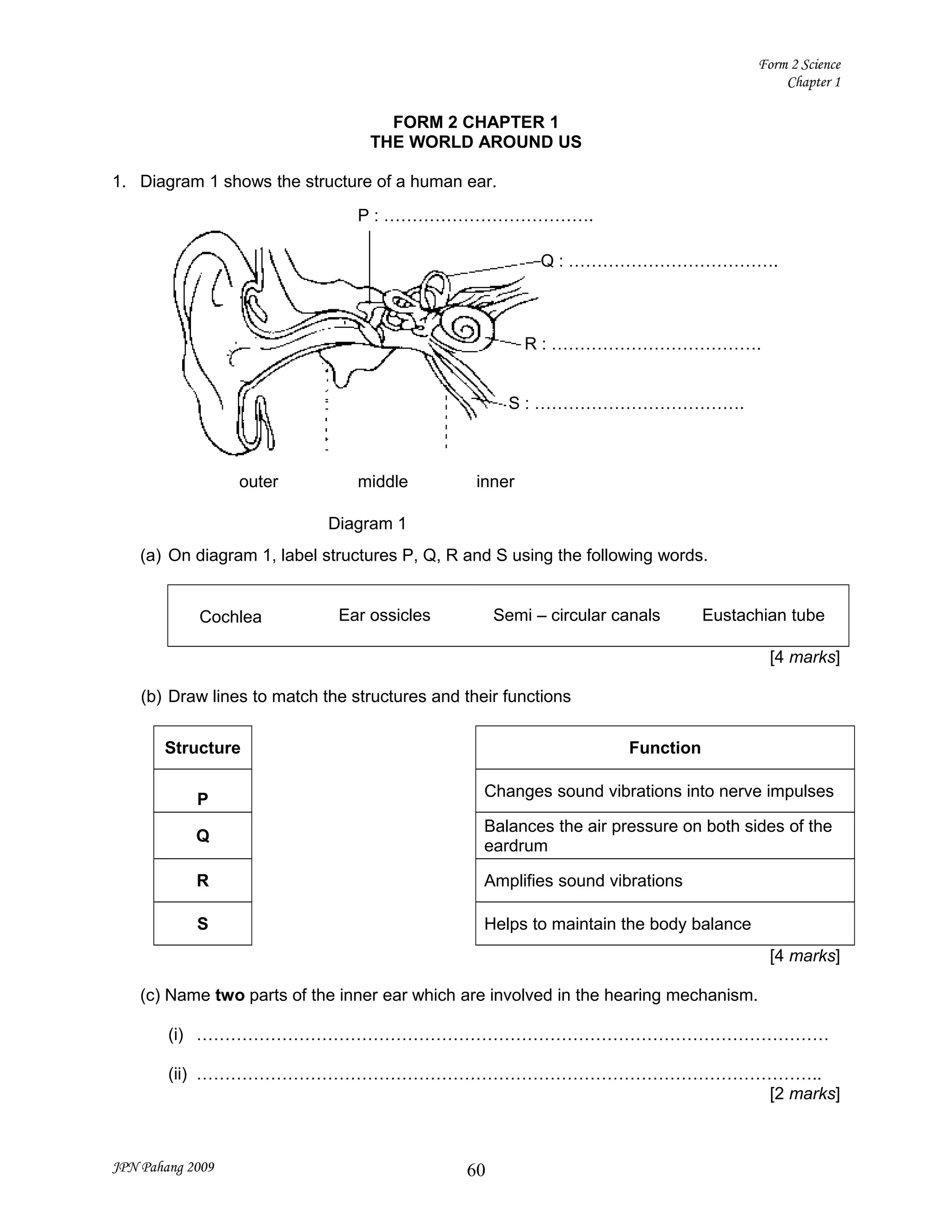 Form 2 chapter 1 | DOC