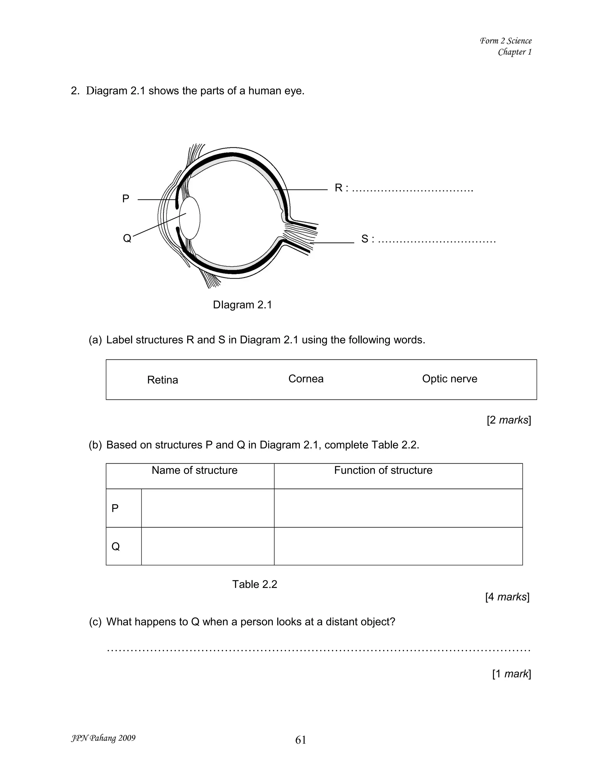 Form 2 chapter 1 | DOC