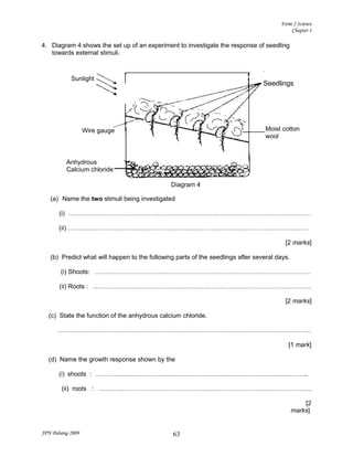 Form 2 chapter 1 | DOC