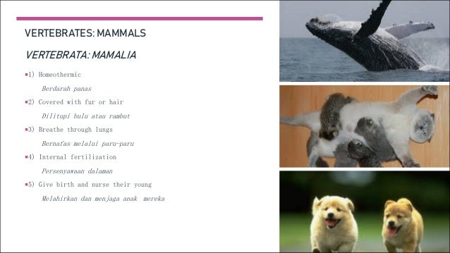 Form 2 Dlp Chapter 1 Biodiversity