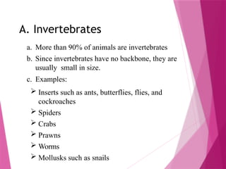 A. Invertebrates
a. More than 90% of animals are invertebrates
b. Since invertebrates have no backbone, they are
usually small in size.
c. Examples:
 Inserts such as ants, butterflies, flies, and
cockroaches
 Spiders
 Crabs
 Prawns
 Worms
 Mollusks such as snails
 