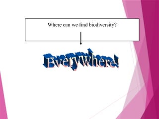 Where can we find biodiversity?
 